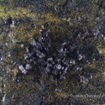 »versunkenes Mahnmal«, Version III von Thomas Christoph Heyde